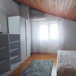 Skolj