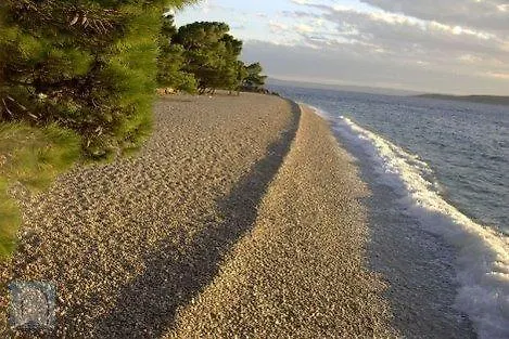 Skolj