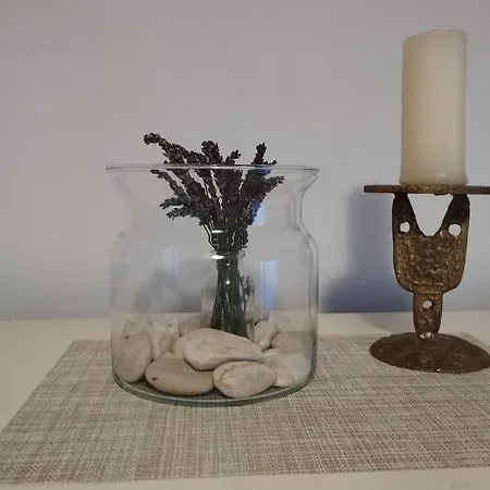 Apartamento Skolj *