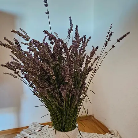 Apartment Skolj *